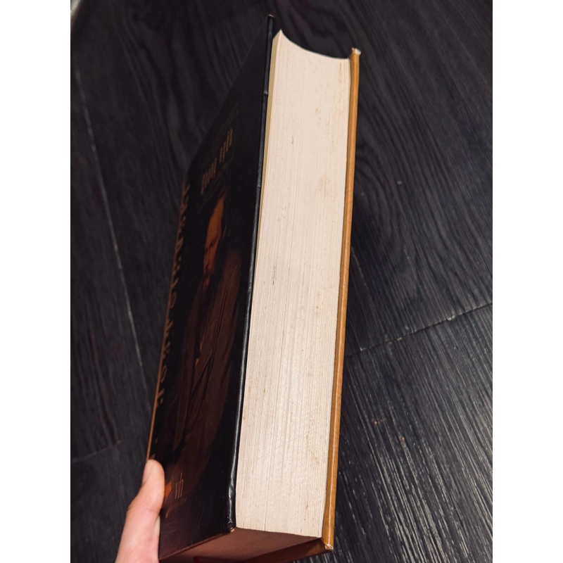 Chàng ngốc (bìa cứng, đọc mô tả) 537181