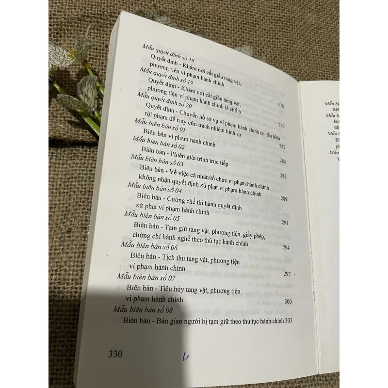 Luật xử lý vi phạm hành chính - 380 trang  797700