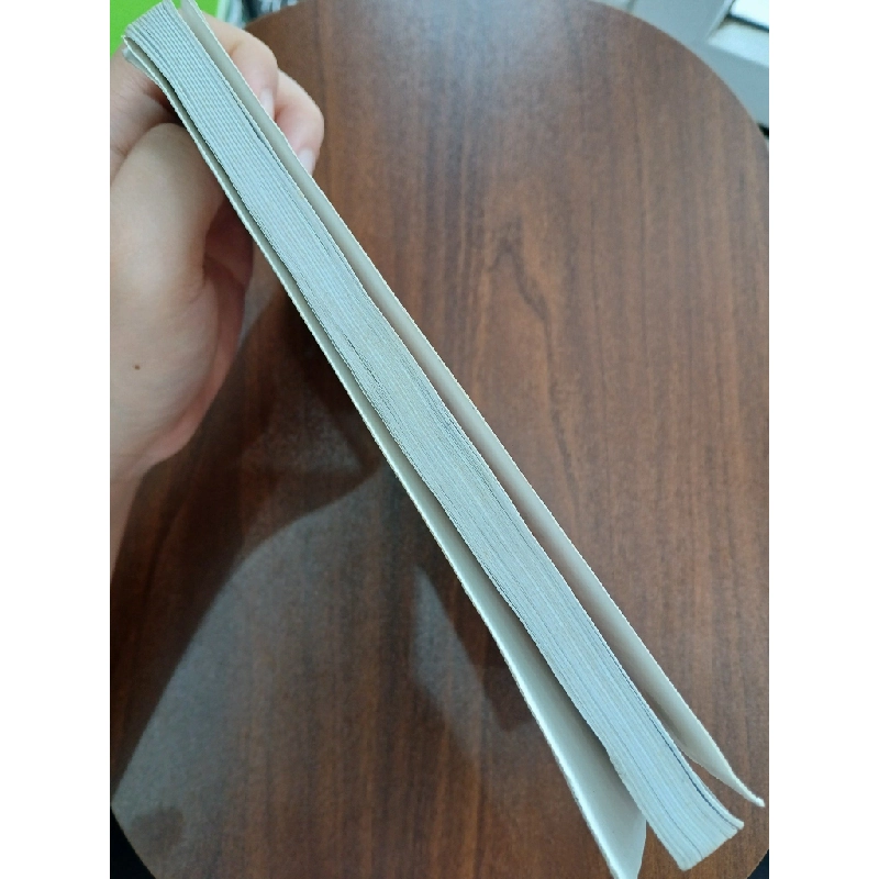 Người Phụ Nữ Quyến Rũ - Trịnh Huệ Nhật 538321