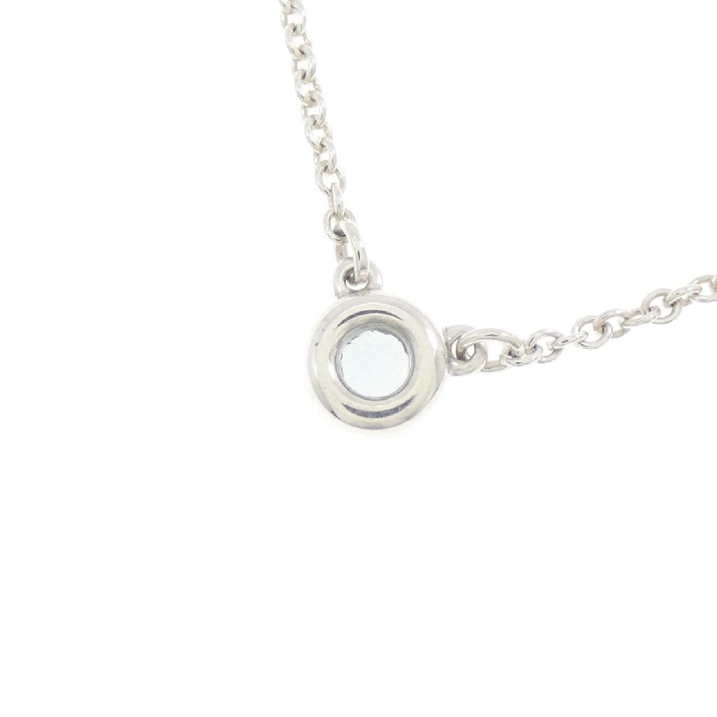 Dây chuyền Tiffany By The Yard - Hàng hiệu Authentic 842248