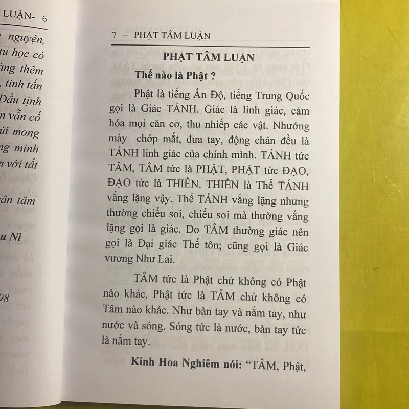 Phật Tâm Luận - HT Thiền Sư Phước Hảo 630637