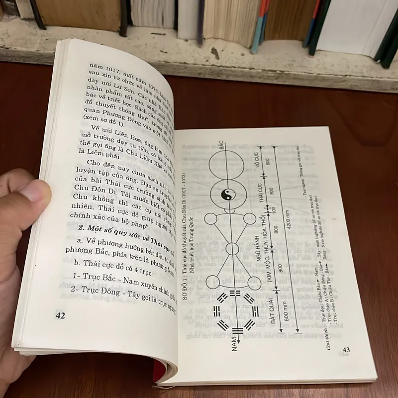 II Sách Võ Thuật: Thái Cực Trường Sinh Đạo - Nguyễn Song Tùng - 1996 572708