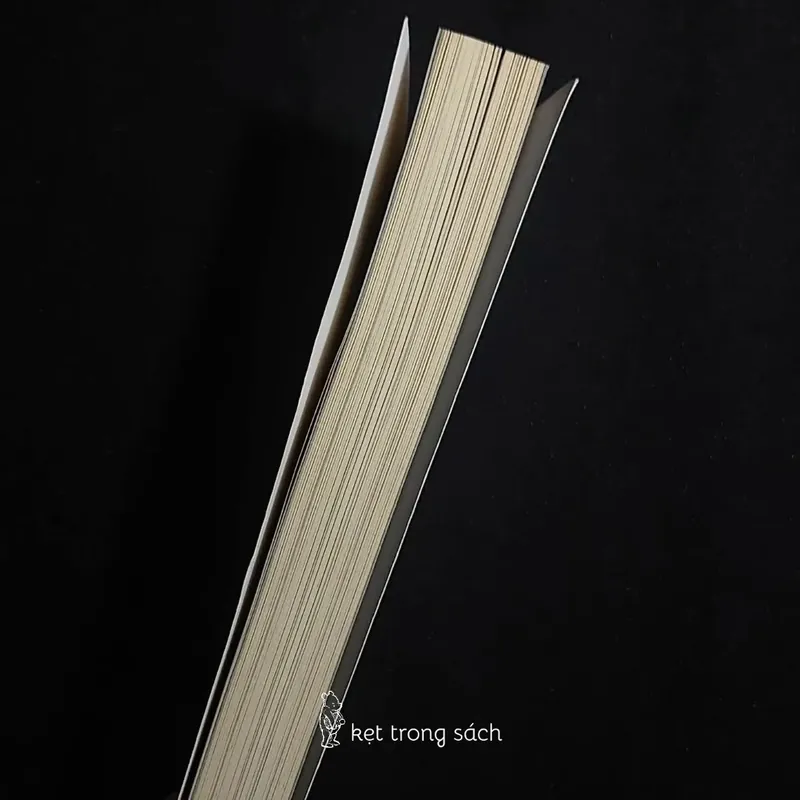 [Sách Cũ Ngoại Văn] The Sun And Her Flowers - Rupi Kaur 564212