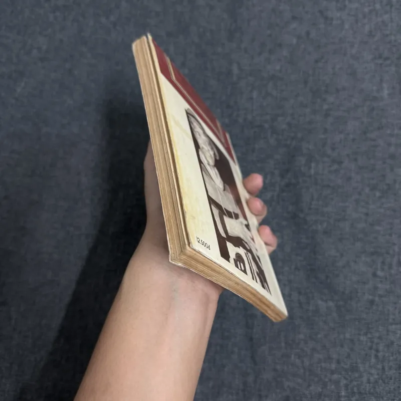 Sách Mưa nguồn - Bùi Giáng (1993) 739075