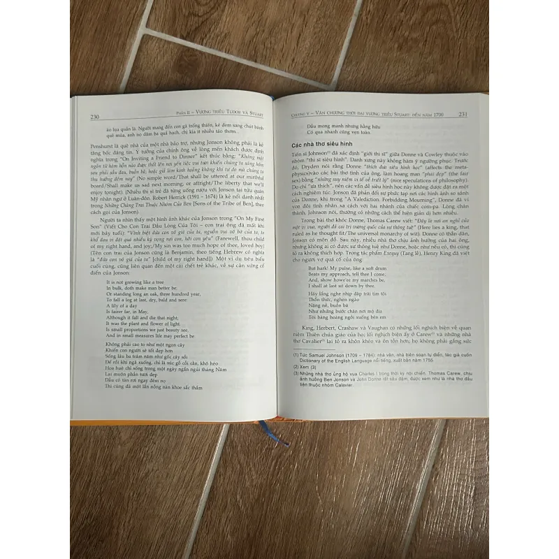 Lịch Sử Văn Học Anh Quốc - Michael Alexander (NXB Văn Lang, bìa cứng giấy láng) 733542