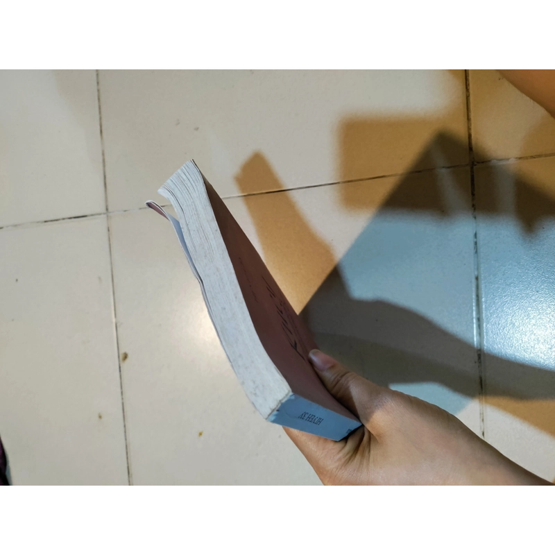 Truyện kiều tiếng nga 472166