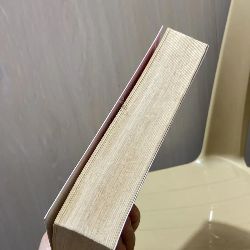 Ốc sên chạy - Điệp Chi Linh 970355