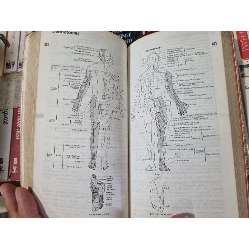 OXFORD HANDBOOK OF CLINICAL MEDICINE (4TH EDITION) -  R. A. Hope, J. M. Longmore, C. A. Wood-Allum, S. K. McManus 120169