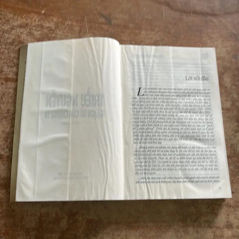 TRIỀU NGUYỄN VÀ LỊCH SỬ CỦA CHÚNG TA - nhiều tác giả  784331