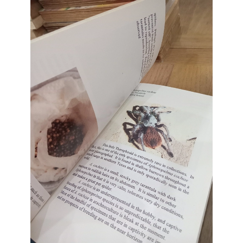 A color guide to Tarantulas of the World - Russ Gurley 1017637