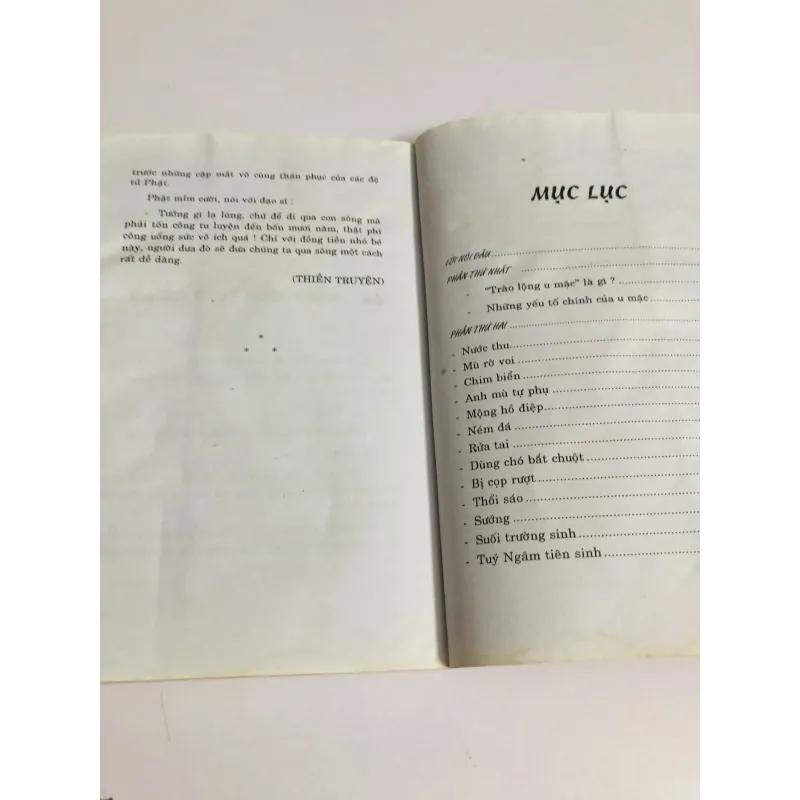 CÁI CƯỜI CỦA THÁNH NHÂN ( Nguyễn Duy Cần) 749230