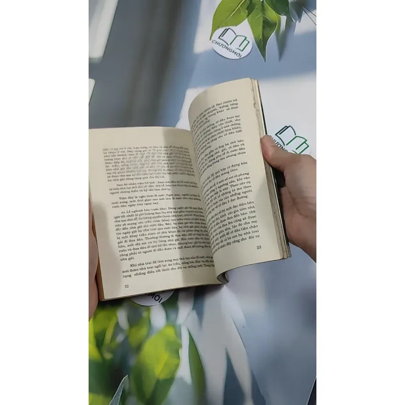 [XƯA] Để Tổ Chức Một Đám Cưới (1994) - Quỳnh Hương 776164