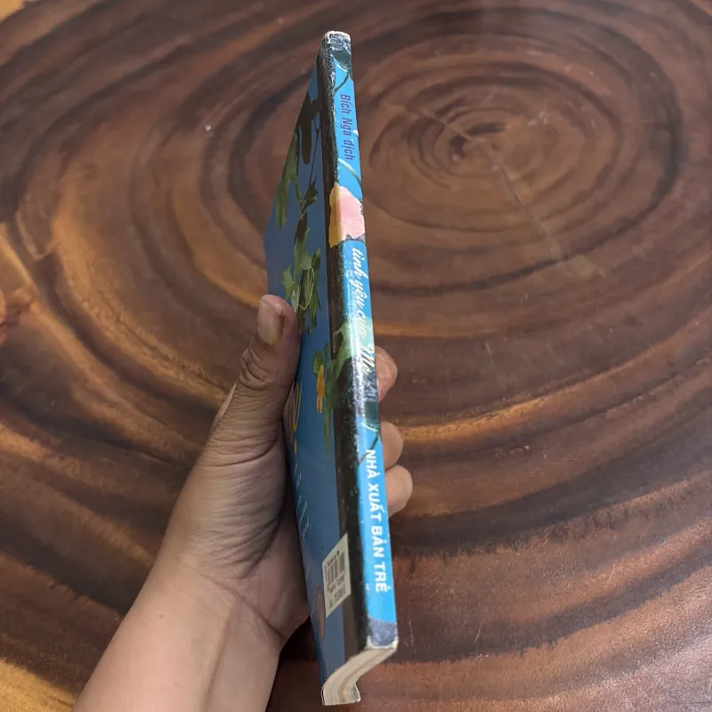 II Tình Yêu Và Cuộc Sống: Tình Yêu Của Mẹ - Bích Nga (Dịch) - 2004 976300
