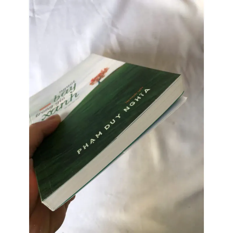 Người Bay Trong Gió Xanh - Phạm Duy Nghĩa 976135