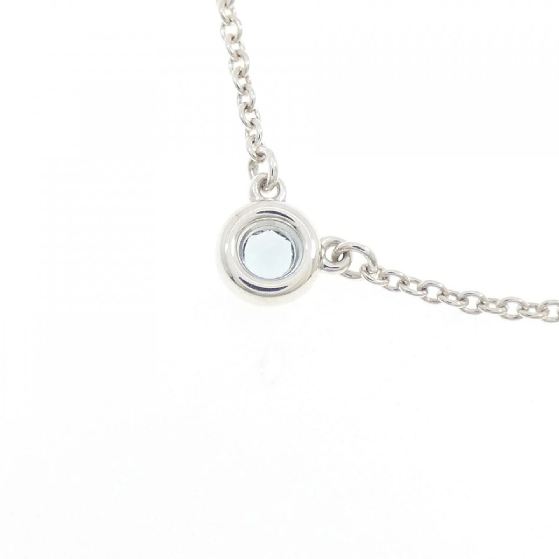 Dây chuyền Tiffany By The Yard - Hàng hiệu Authentic 841892