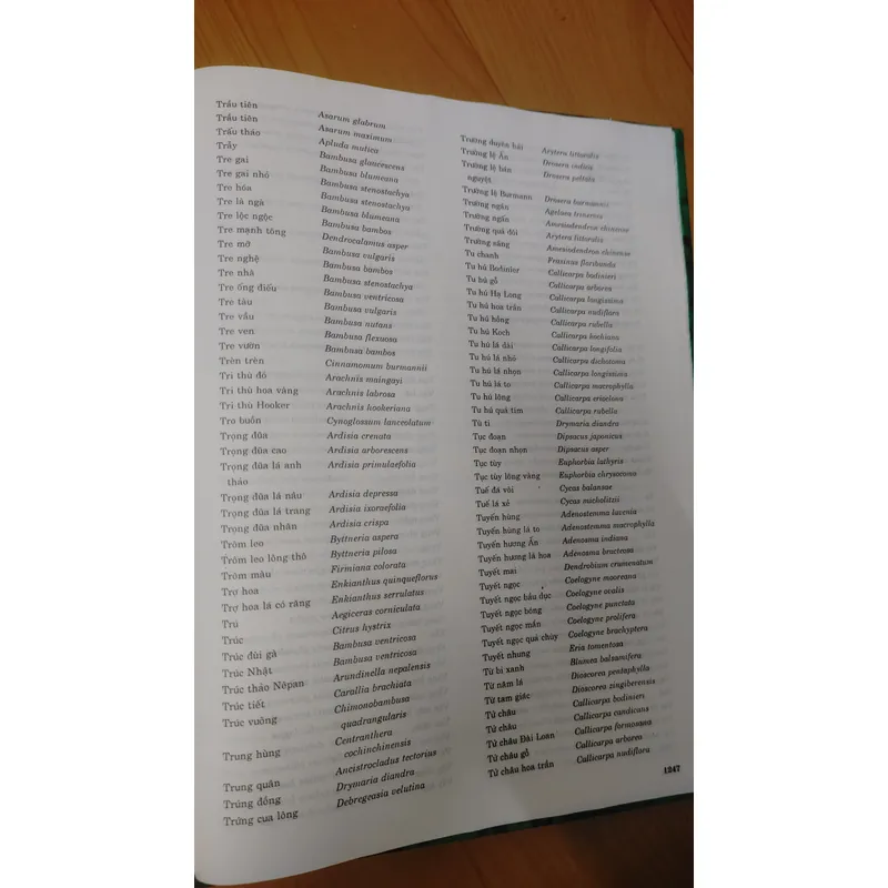 TỪ ĐIỂN THỰC VẬT THÔNG DỤNG TẬP 1 676003