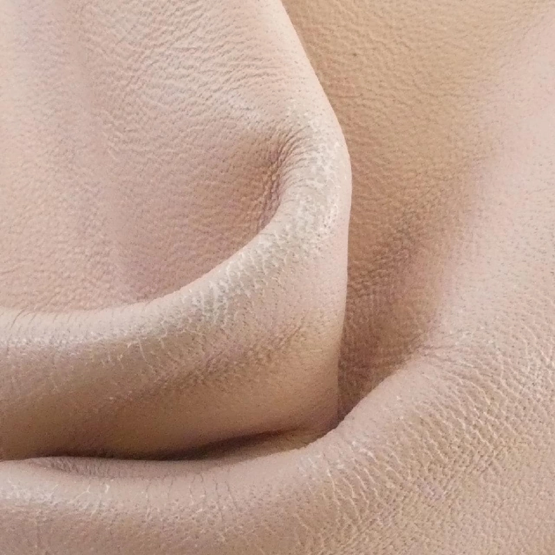 Túi xách Salvatore Ferragamo 21 D191 - Hàng hiệu Chính hãng 804817