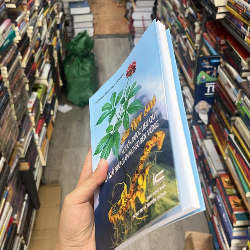 Sâm ngọc linh- nguồn dược liệu quý và giải pháp giảm nghèo bền vững 553049