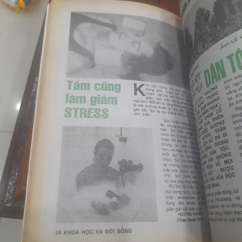 KHOA HỌC VÀ ĐỜI SỐNG số 37 năm 1995 463204