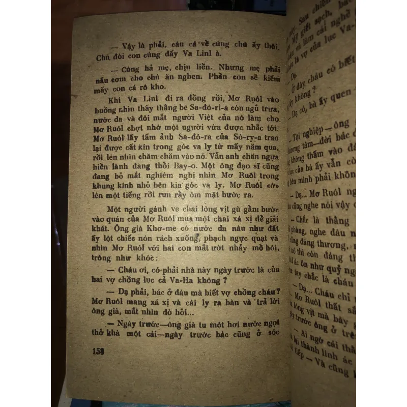 Cây sầu đâu sinh đôi - Trúc Phương  976169