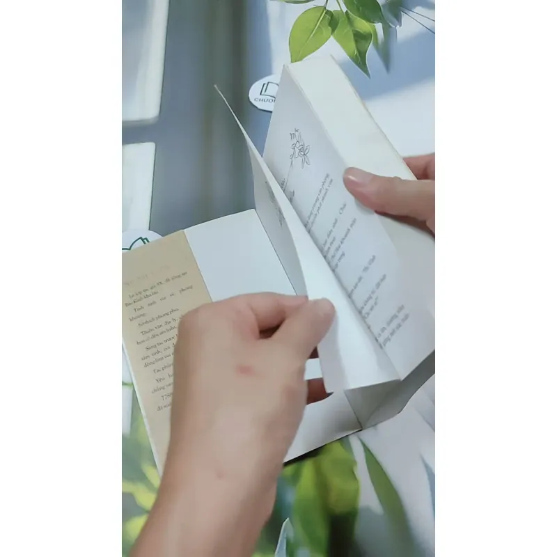 Giường Đơn Hay Giường Đôi - Cầm Sắt Tỳ Bà 744730