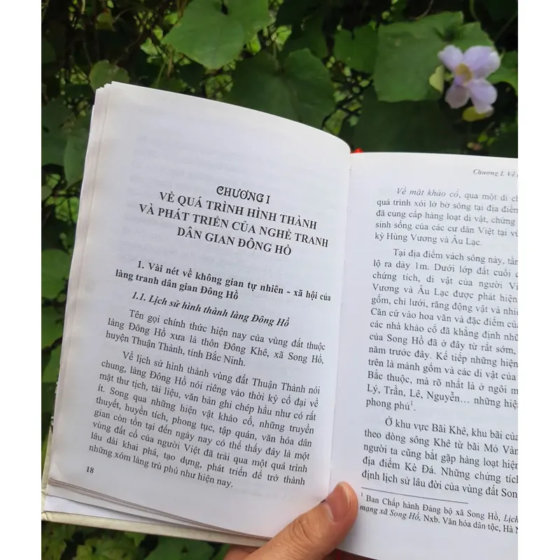 Di sản văn hoá tranh dân gian đông hồ 675529