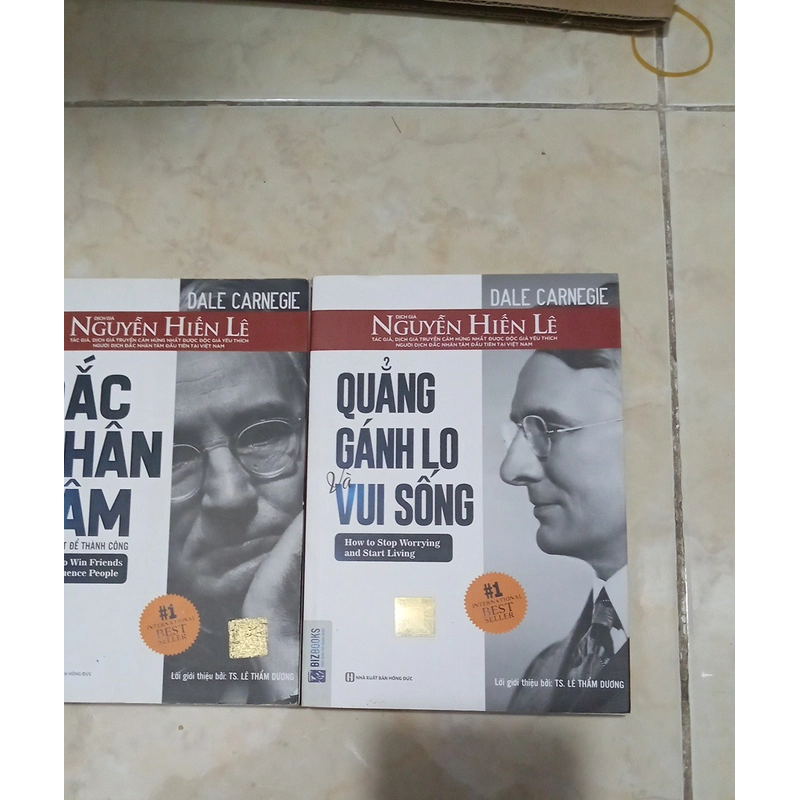 Combo sách - Đắc Nhân Tâm & Quẳng gánh lo và vui sống  501036