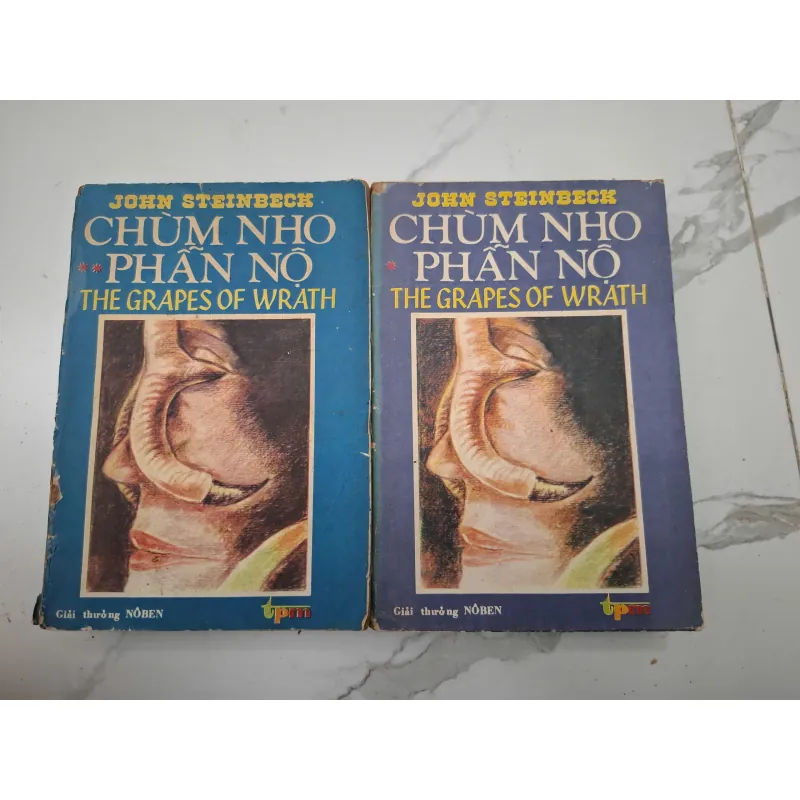 Chùm nho phẫn nộ (The Grapes of Wrath) – John Steinbeck 604018