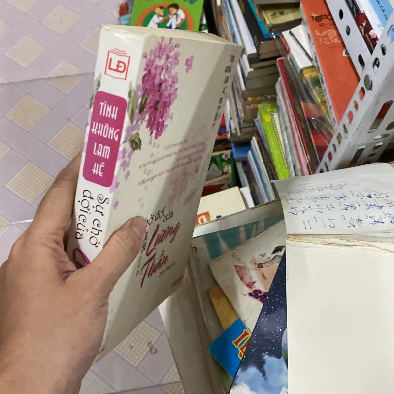 Sự Chờ Đợi Của Lương Thần 1021050