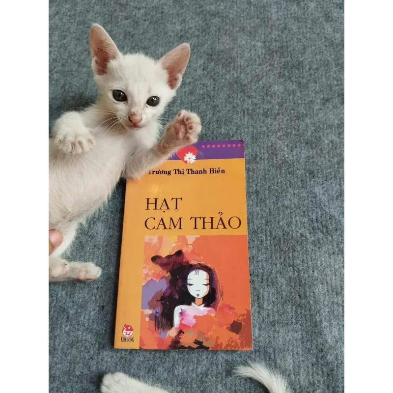 HẠT CAM THẢO - TRƯƠNG THỊ THANH HIỀN 567779
