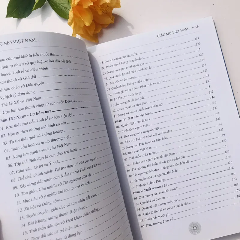 Giấc Mơ Việt Nam - Khát Vọng Tương Lai (Nguyễn Lý Trần Lê)  736036