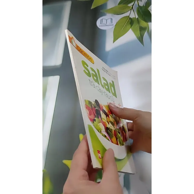 Các Món Salad Trái Cây - Rau Củ Ngon Tuyệt - Việt Điền, Triệu Thị Chơi 607710