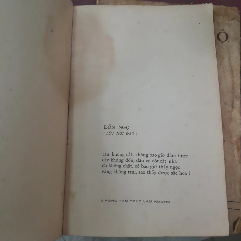 HÒA BÌNH TAI TƯỢNG HOÀNG ANH SẤM KÝ - TRÚC LÂM NƯƠNG 746496