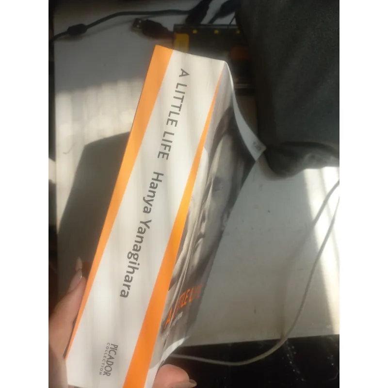 Sách Tiểu thuyết A Little Life Henya Yanagihara (Mới 95%) 775837