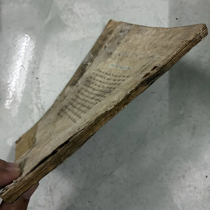 Êvarit Galoa 1025102