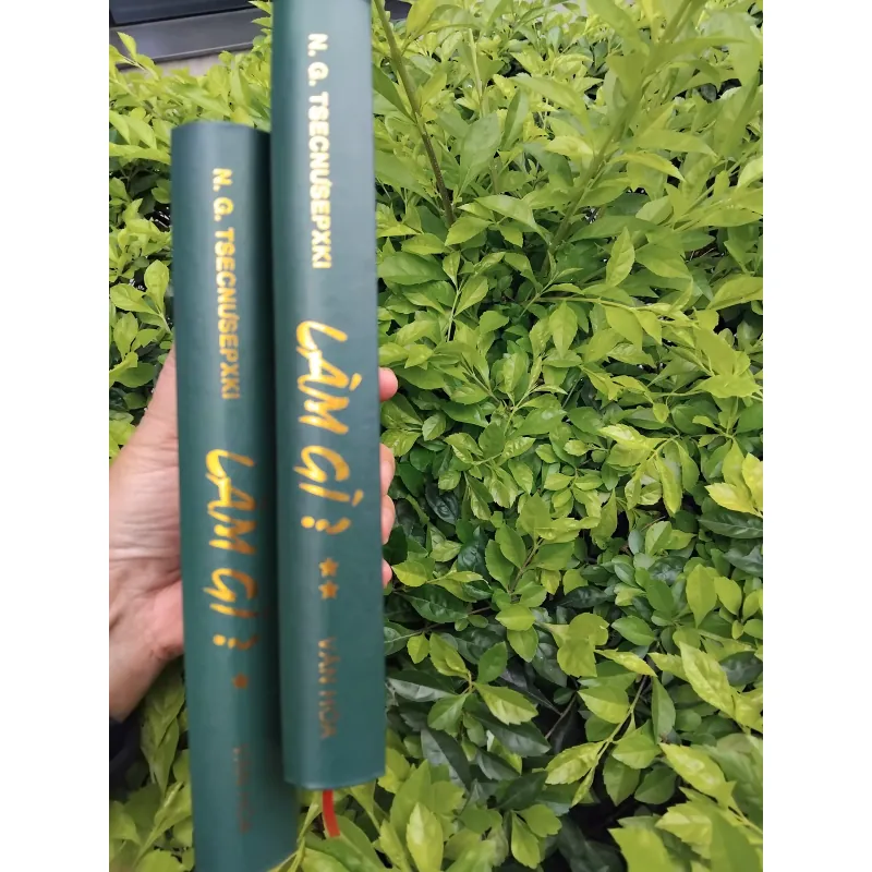 Làm gì ? Của Tsecnusepski 936564