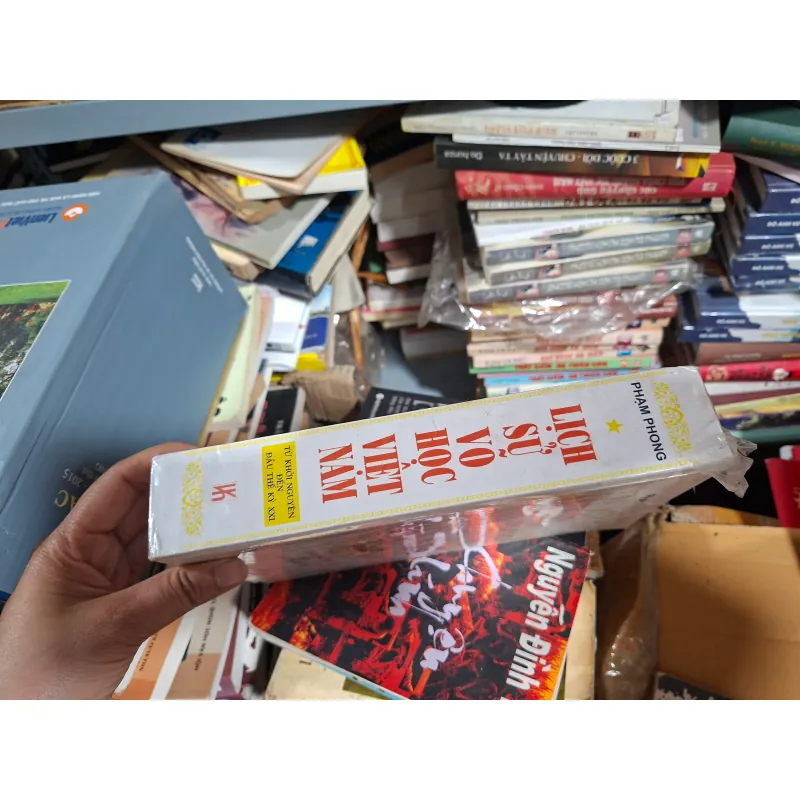 Lịch sử võ học Việt Nam 931975