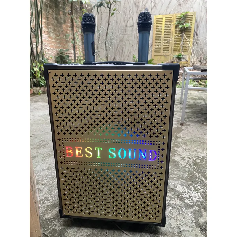 Thanh lý loa kẹo kéo 753543