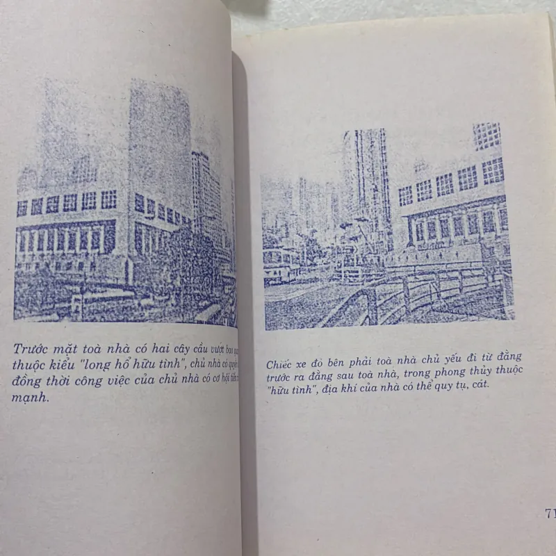 100 ví dụ về đồ giải phong thuỷ  764726