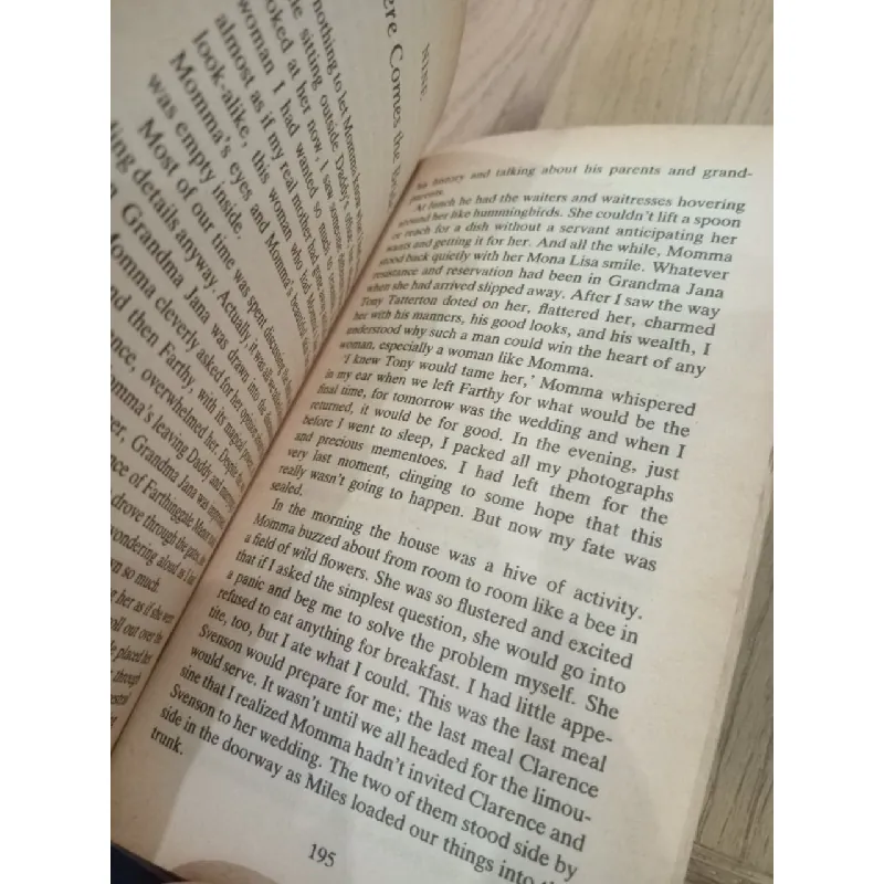 Web of dreams - Virginia Andrews 568316