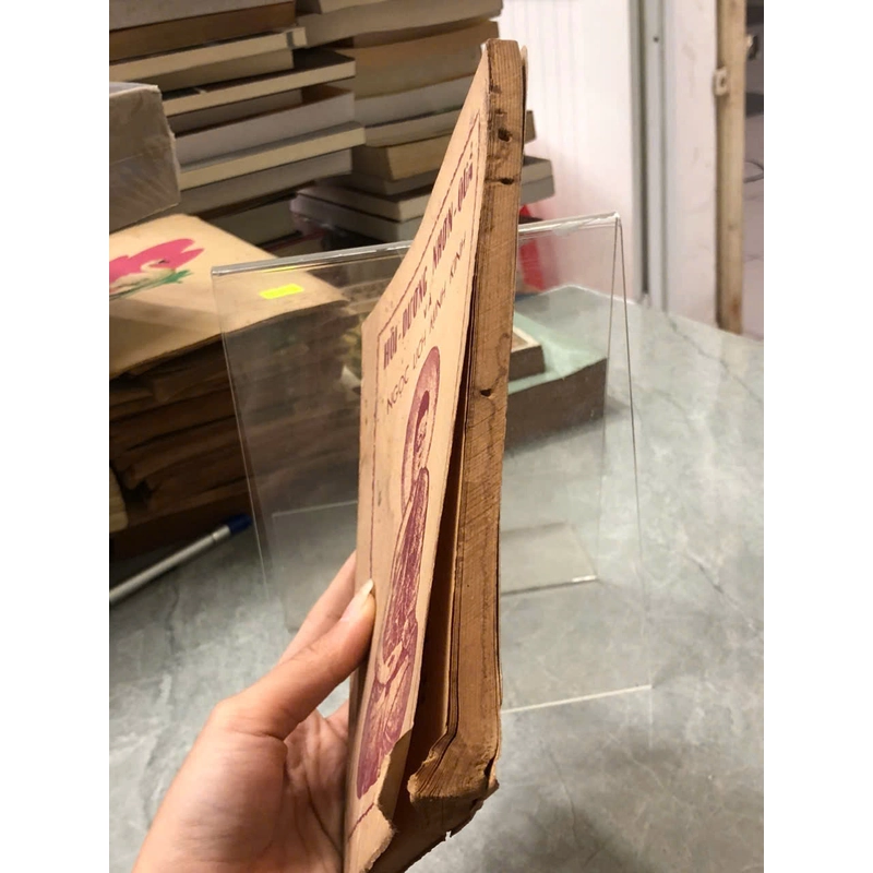 HỒI DƯƠNG NHƠN QUẢ VÀ NGỌC LỊCH MINH KINH 477899