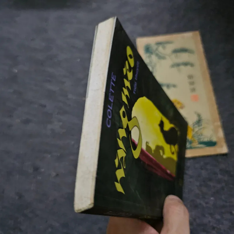 Nàng mèo - Colette 733910