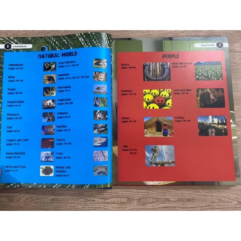 YOU WON’T BELIEVE IT BUT bìa cứng xốp mới 90% OSB1310 912112