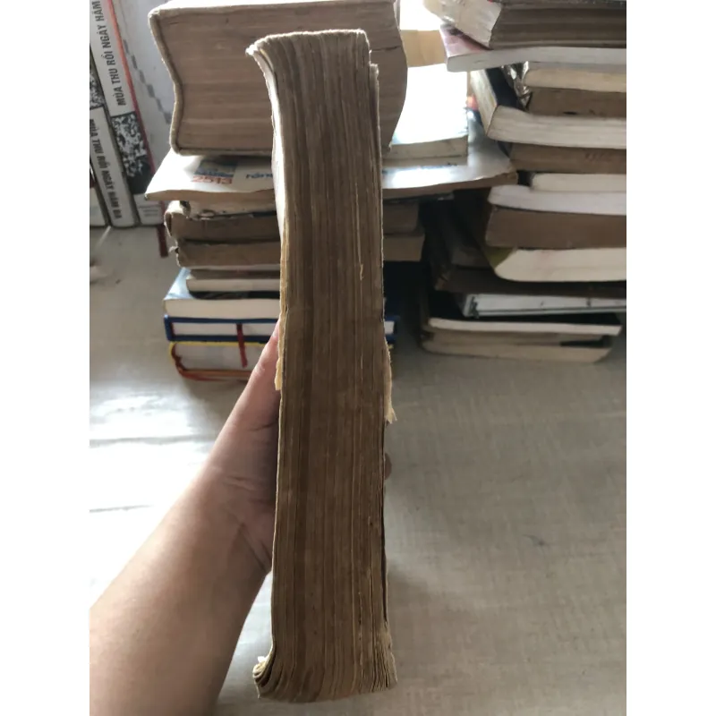 Những kiến thức cơ bản của khoa học trồng lúa 975867