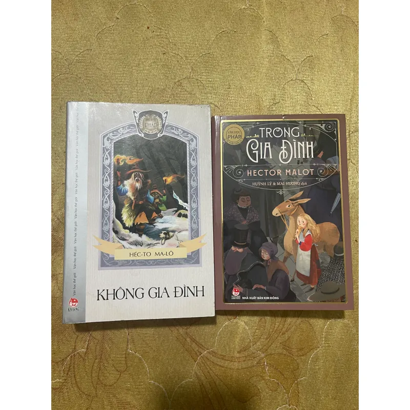 COMBO KHÔNG GIA ĐÌNH+TRONG GIA ĐÌNH- HECTOR MALOT 559426