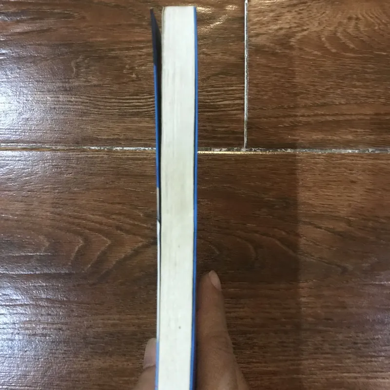 Nếu em không phải giấc mơ - Marc Levy (15) 625286