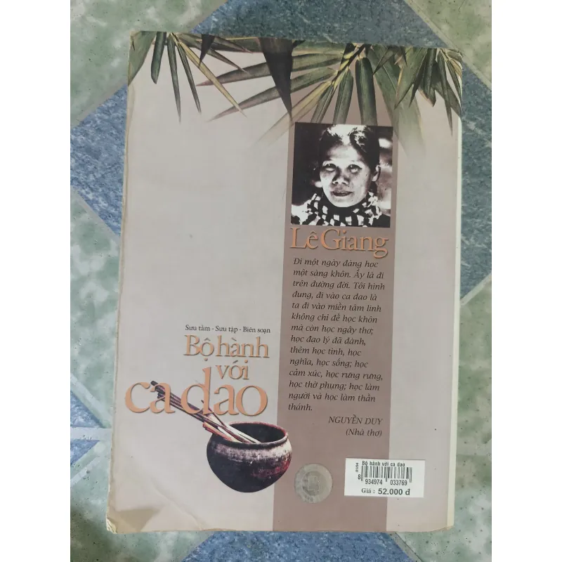 Bộ hành với ca dao - Lê Giang 795383
