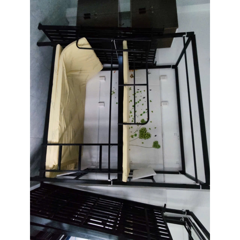 Giường tầng 1m8x1m 540831