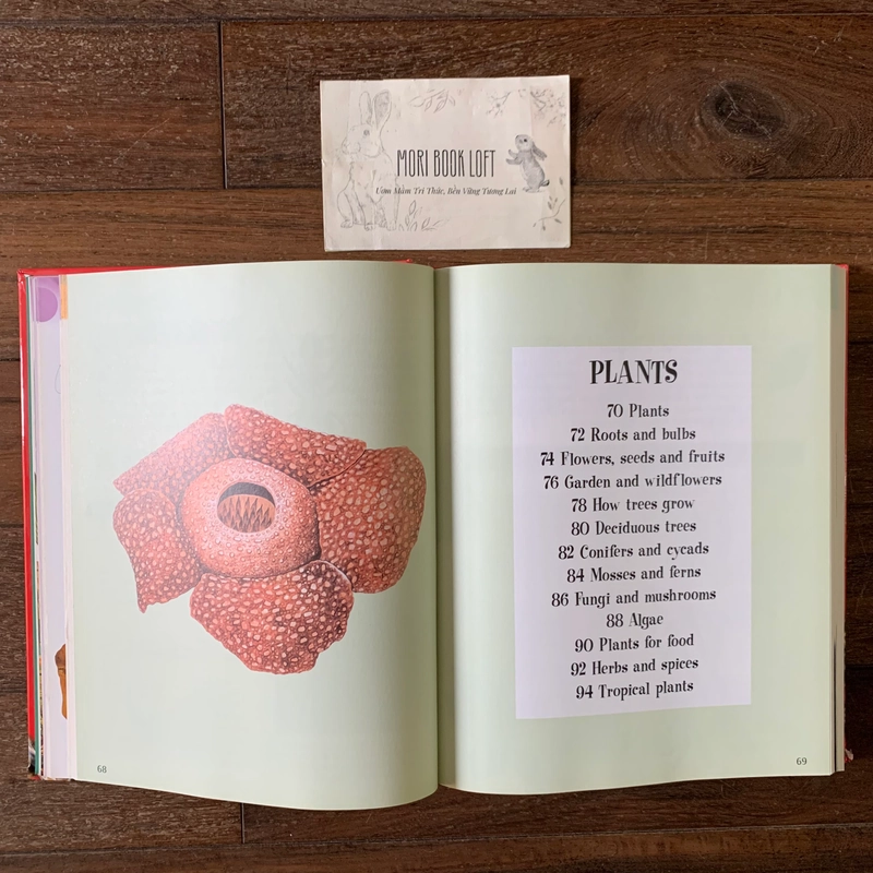 Sách ngoại văn The Big Book of Knowledge, Used, Bìa cứng, Siêu dày 542211