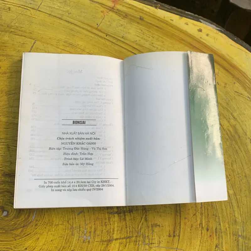 COMBO BONSAI Cây dáng, thế và Non bộ  775779